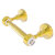 Allied Brass Pacific Grove Collection Two Post Toilet Paper Holder with Grooved Accents in Polished Brass