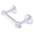 Allied Brass Pacific Grove Collection Two Post Toilet Paper Holder with Twisted Accents in Satin Chrome