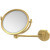 2x Magnification, Polished Brass Mirror