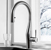 Polished Chrome Vision Pull Down Faucet