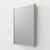 Fresca Senza 15'' Wide x 26'' Tall Modern Frameless Wall Mounted Bathroom Medicine Cabinet with Beveled Edge, Anodized Aluminum, Installed Angle View