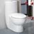 Fresca Delphinus One-Piece Dual Flush Toilet, Soft Close Seat, Elongated Bowl, 0.8/1.6 GPF Capacity, 15-1/2"W x 28-1/2"D x 30-1/4"H