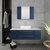 Fresca Lucera 48" Royal Blue Wall Hung Vessel Sink Modern Bathroom Vanity Set w/ Medicine Cabinet, Vanity: 48"W x 20-2/5"D x 20-4/5"H, Medicine Cabinet: 31-1/2"W x 23-3/5"H x 6"D