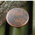 Hafele HA-123.27.032 Traditional Round Knob 37mm (1-1/2'') Diameter