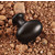 Hafele (1-1/4'' W) Oval Knob in Dark Oil-Rubbed Bronze, 30mm W x 30mm D x 19mm H