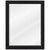 Jeffrey Alexander Cade Beveled Glass Mirror in Black Finish, 22" W x 1" D x 28" H