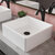 KRAUS Sink w/ Matte Black Faucet Angle View