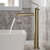 KRAUS Ramus™ Single Handle Vessel Bathroom Sink Faucet with Pop-Up Drain in Brushed Gold