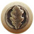 Notting Hill Leaves Collection 1-1/2'' Diameter Oak Leaf Natural Wood Round Knob in Antique Brass, 1-1/2'' Diameter x 1-1/8'' D