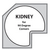 Kidney Shaped Pantry Set for 90 Degree Corner Pantry