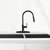 Kitchen Faucet Stainless Steel Deck Plate in Matte Black, Installed View