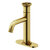Vigo Cass Pinnacle Collection Matte Brushed Gold Product View