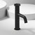 Vigo Ruxton Collection Matte Black Pinnacle 1-Handle Faucet