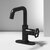 Vigo Ruxton Collection Matte Black Oblique 1-Handle Faucet w/ Deck Plate