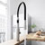 Stainless Steel Faucet - Illustration