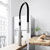 Stainless Steel Faucet with Soap Dispenser - Illustration