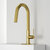 Vigo Hart Hexad Collection Matte Brushed Gold Pull-Down Faucet w/ Deck Plate