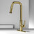 Vigo Hart Angular Collection Matte Brushed Gold Pull-Down Faucet w/ Deck Plate