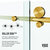 Vigo Elan E-Class Collection Clear / Matte Brushed Gold w/o Base Roller Disk Info