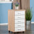 Winsome Wood Kenner Collection 5-Drawer Cabinet, Reclaimed Wood and White