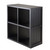 Winsome Wood Shelf 2 x 2 Cube with Wainscoting Panel in Black