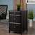 Winsome Wood Delta Collection Home Office File Cabinet, Black