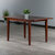 Winsome Wood Darren Collection Dining Table, Extension Top, Walnut